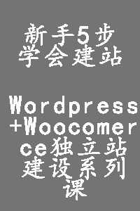 第4步：学会安装wordpress独立站程序